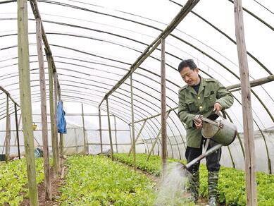 法国贵妇犬蛾 采集:种植谷子，易发生粘虫危害，要如何防治呢？