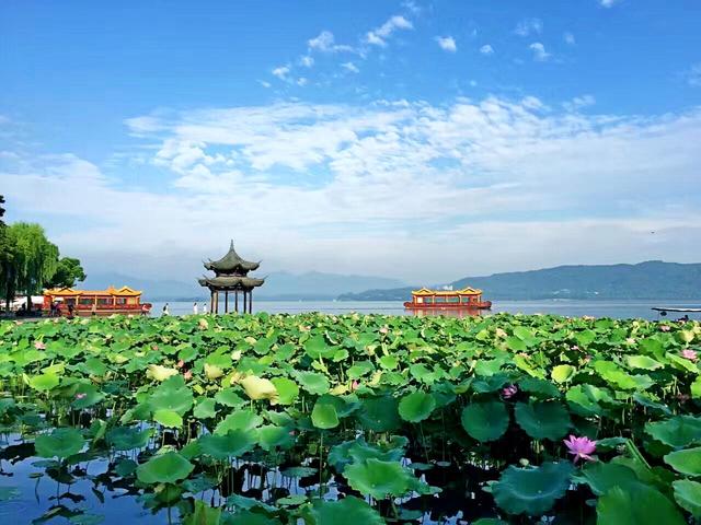 晓出净慈寺送林子方古诗的意思？