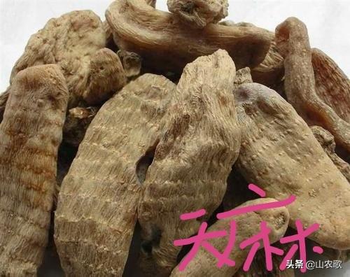 致富经zangao:如何种植中药材才可以发家致富？