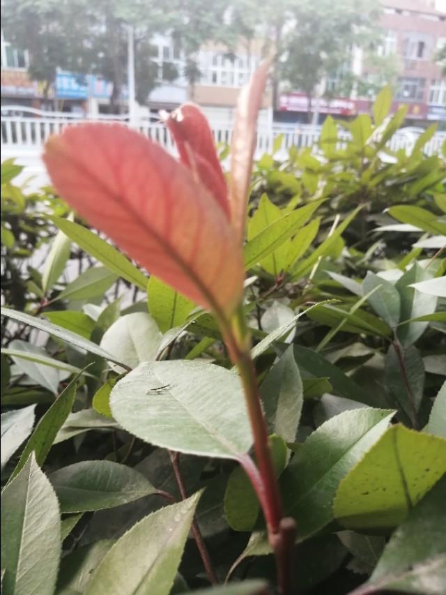 买一套汉服很贵吗？