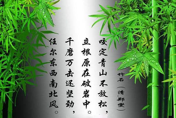 咬定青山不放松立根原在破岩中是不是题画诗？