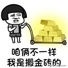 寄居蟹是水生动物吗?:寄居蟹是一个什么样的物种？