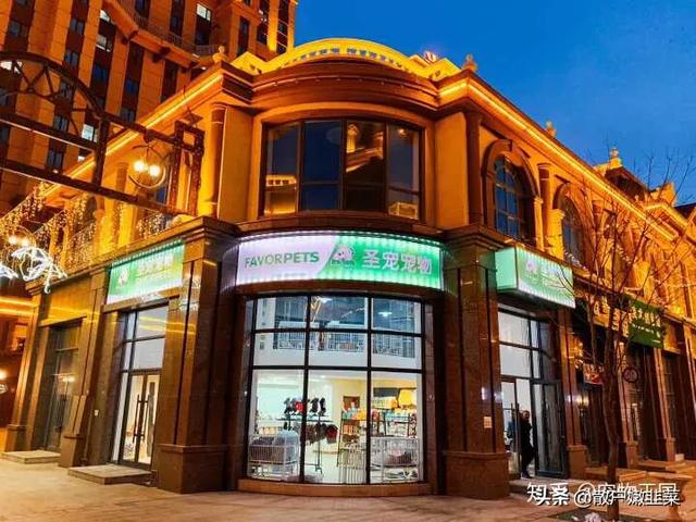 宠物店市场分析定位:开个宠物店怎么样，宠物店怎么开？