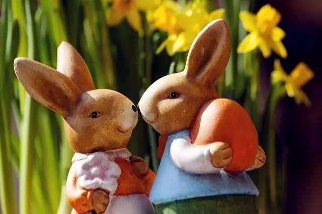 农村俗语蛇缠兔辈辈富是真的吗蛇与兔结合真的能富裕吗农村俗语和老话