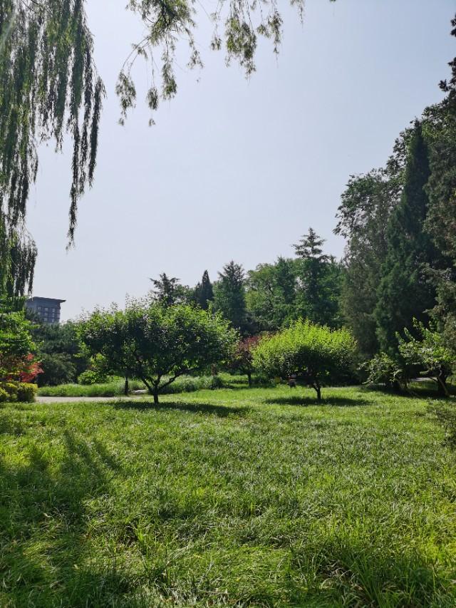 莫高窟可以拍照吗:七月底去西北旅游要带哪些东西（主要去青海敦煌兰州）？