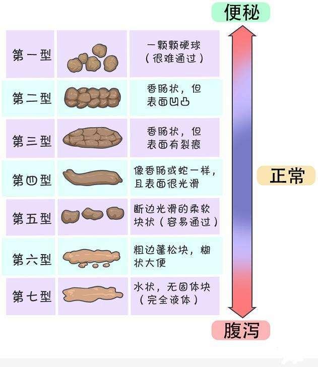 大便不成形图片症状图片