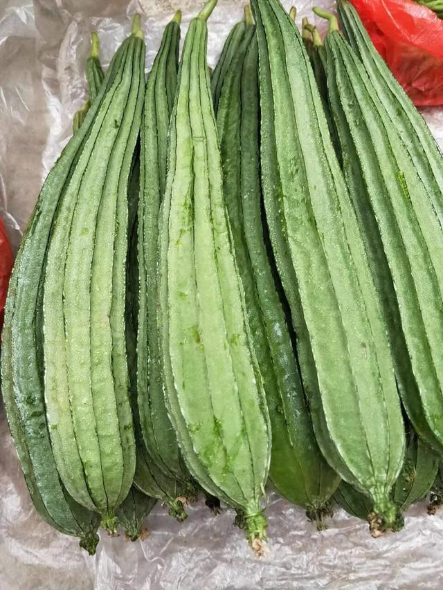 头条问答 - 八角瓜光开雌花怎么办?(8个回答)