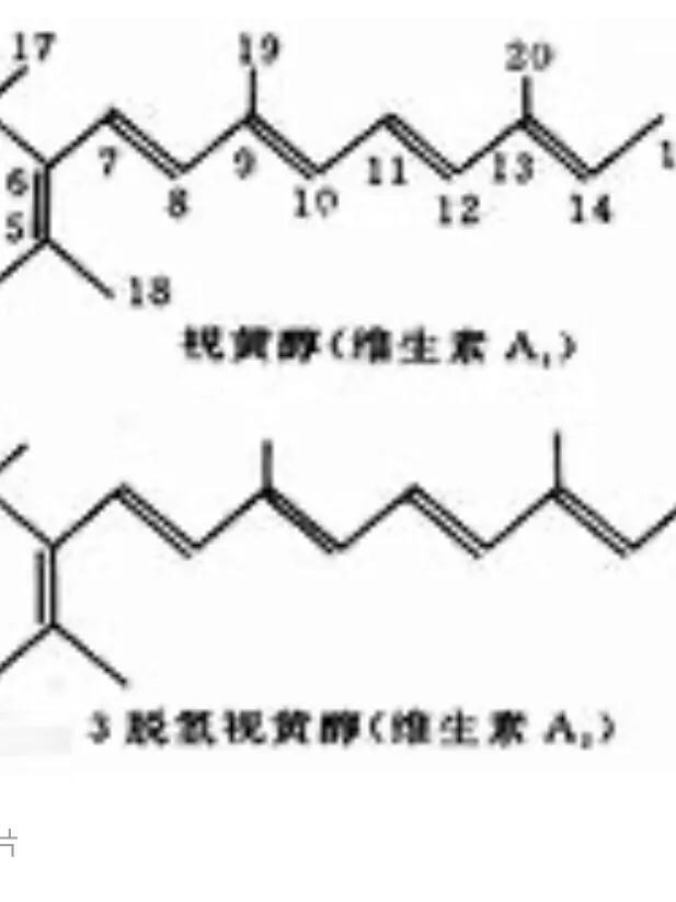 皮肤肿瘤疾病的元凶:你知道缺乏什么营养会患肿瘤吗？