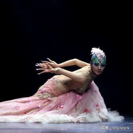 杨丽萍代表作:金星与杨丽萍，谁的舞蹈成就更高