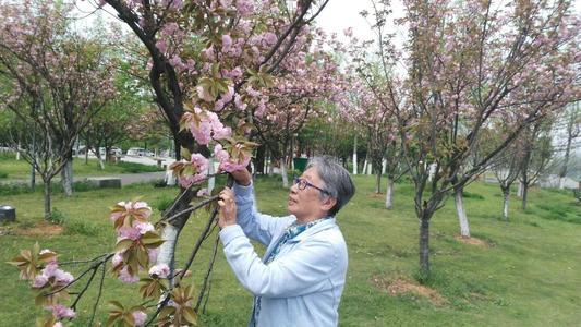 怎么样让自己保持快乐的心情，如何长期保持快乐，不被琐事困扰