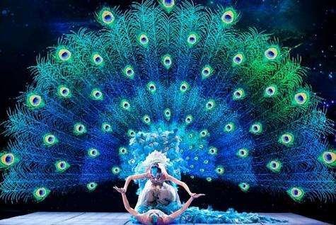 杨丽萍多大了:金星和杨丽萍有什么可比性吗