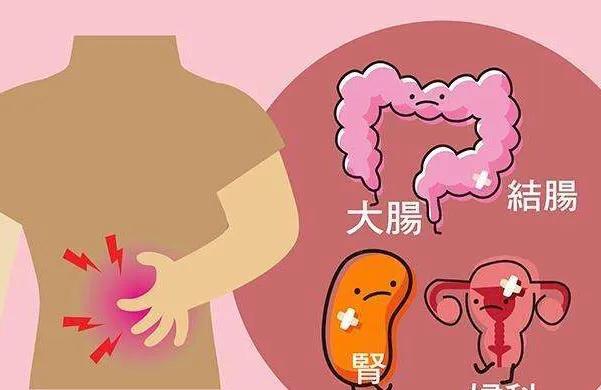 人体左下腹是什么器官疼痛,左下腹疼,拉肚子怎么回事