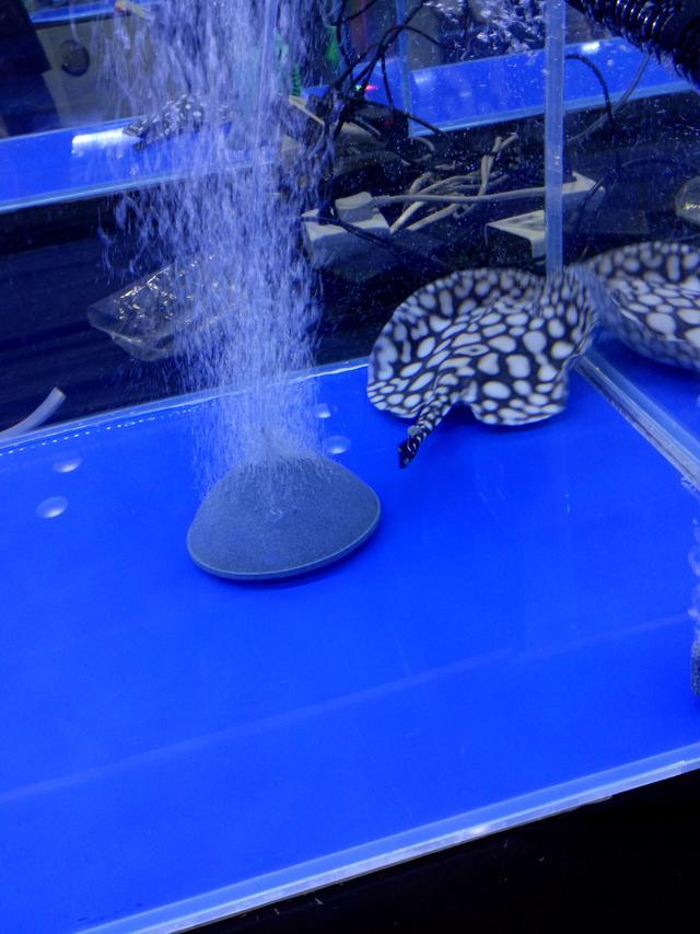 爱佳鱼缸安装步骤？