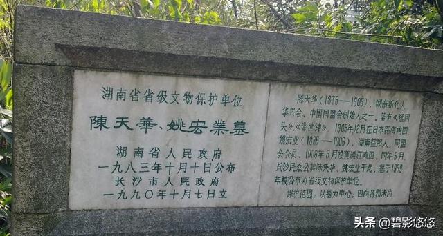 10大元帅:《警世钟》作者陈天华为何舍身投海？
