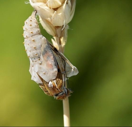 头条问答 - 得不到父母认可的孩子大多数会自卑,对此你怎么看?