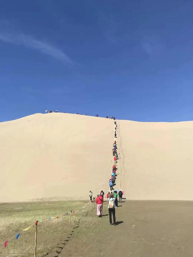 骆驼在撒哈拉沙漠雪中漫步:走在沙漠上的感受是怎样的？