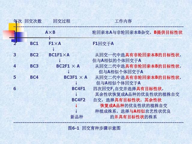 动物配种:动物的回交是什么情况？没有伦理道德问题吗？