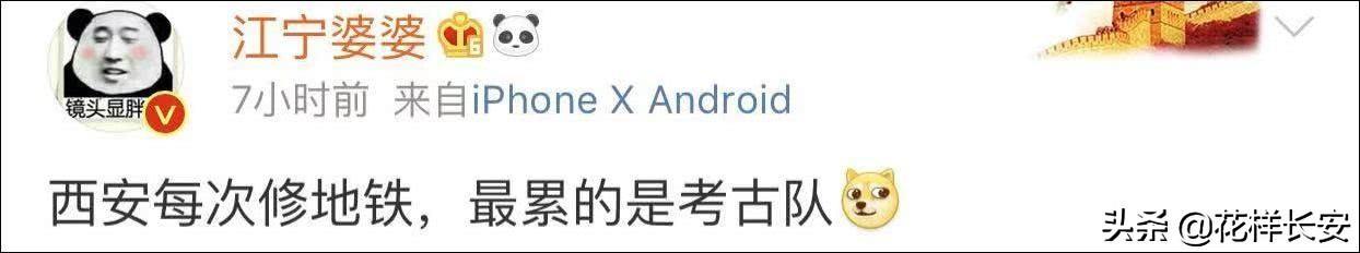 西北藏獒网红王一号:怎么看待西安是一个网红城？