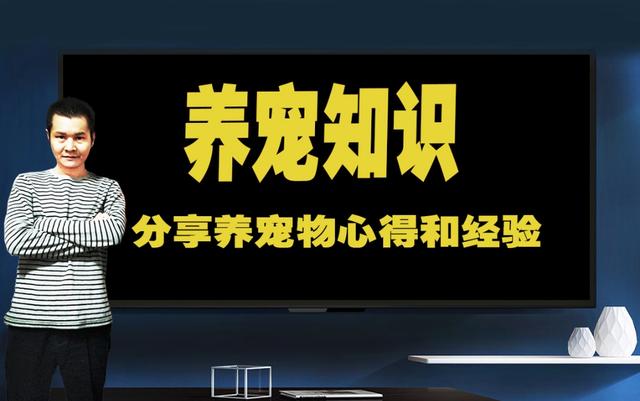 养狗知识:宠物狗应该怎样养才最合适？