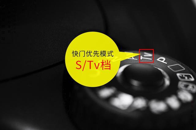 猫咪av:室内用单反拍摄时如何选用用AV，TV,M档，怎样调节比较好？