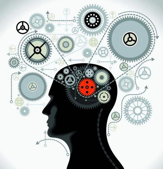 人类最恶心的器官是什么器官？