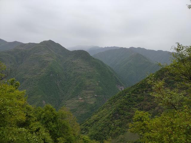 新藤惠美:地里长了许多葛根藤，怎么清除？