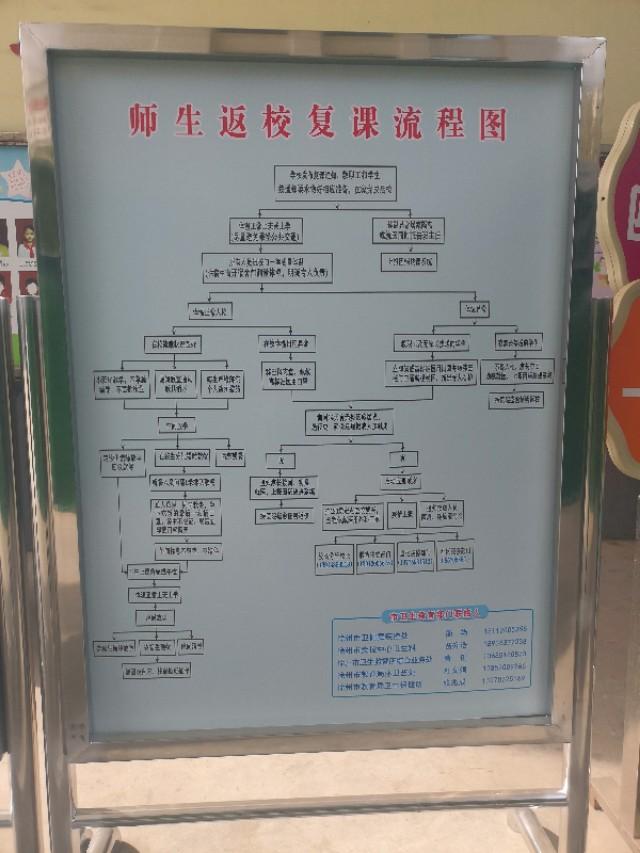 海豹集体午睡:孩子在幼儿园不午睡，怎么办