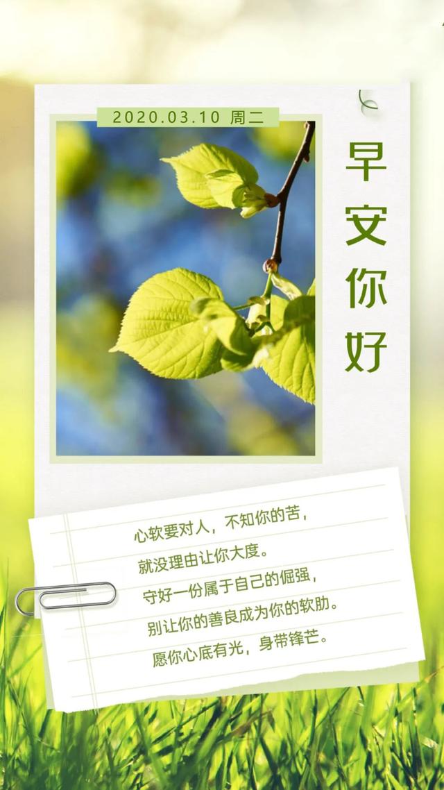 周二正能量励志早安心语图片日签带字：愿你心底有光，身带锋芒
