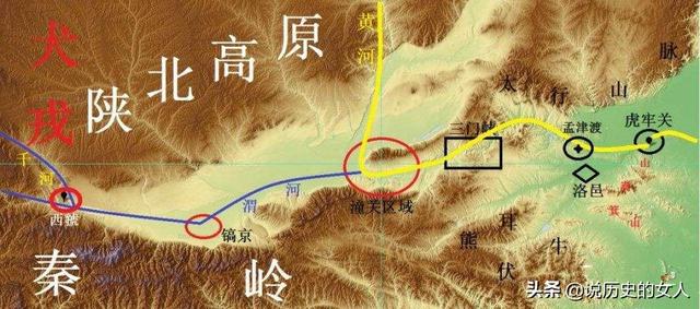 敖犬图片简介:现在北方还有可以长到七八十斤的大个土狗吗？是什么样子的？