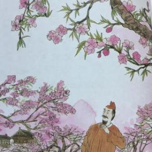 白居易《大林寺桃花》体现了诗人怎样的情怀？