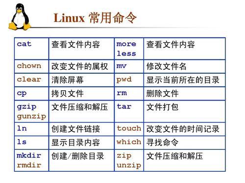 命令中最简单的是 你最常用的一个linux命令是什么？为什么？