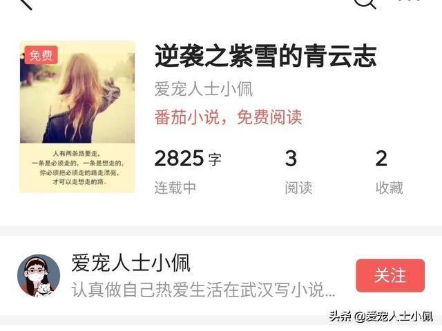 我想写小说,如何才能获得收益？