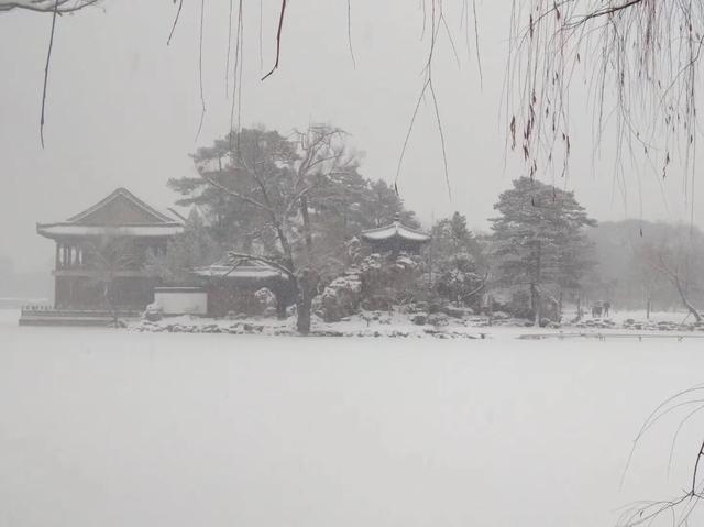我们应该学习“雪”的什么？
