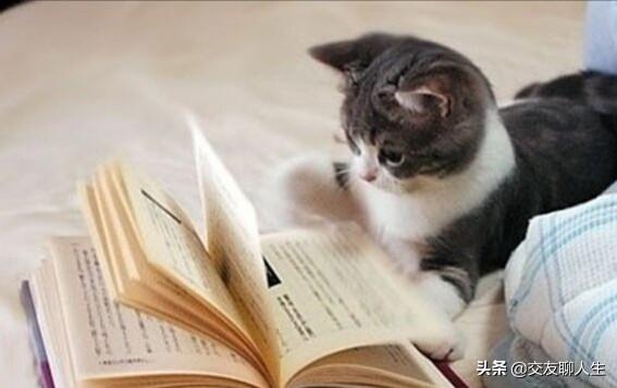 今年都宅在家里,有什么消磨时间的方法？