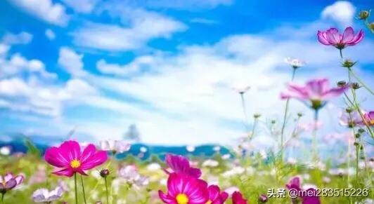 古巨基明星:古巨基宣布当爸爸，感谢朋友及粉丝，你有什么想说的