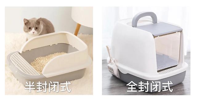住楼房怎样养猫:怎么养猫？要准备什么东西？