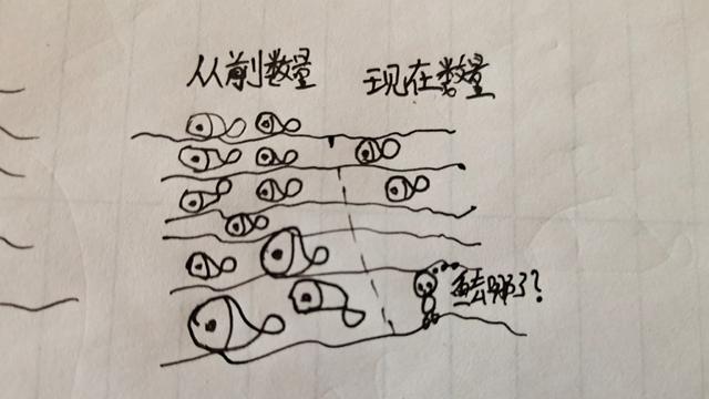 伏尔加河的鱼的个人空间:鱼类的减少是因为钓鱼人多了还是污染严重了？