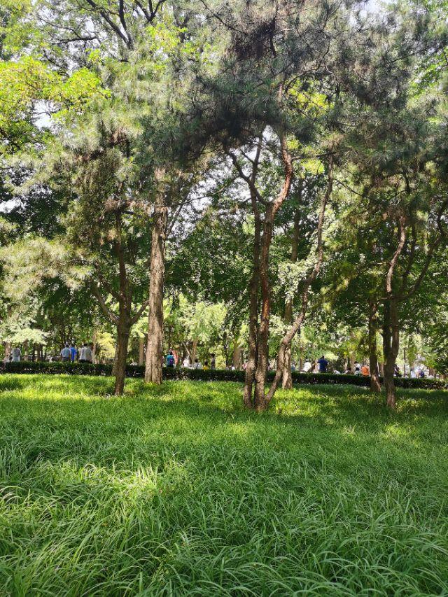 莫高窟可以拍照吗:七月底去西北旅游要带哪些东西（主要去青海敦煌兰州）？