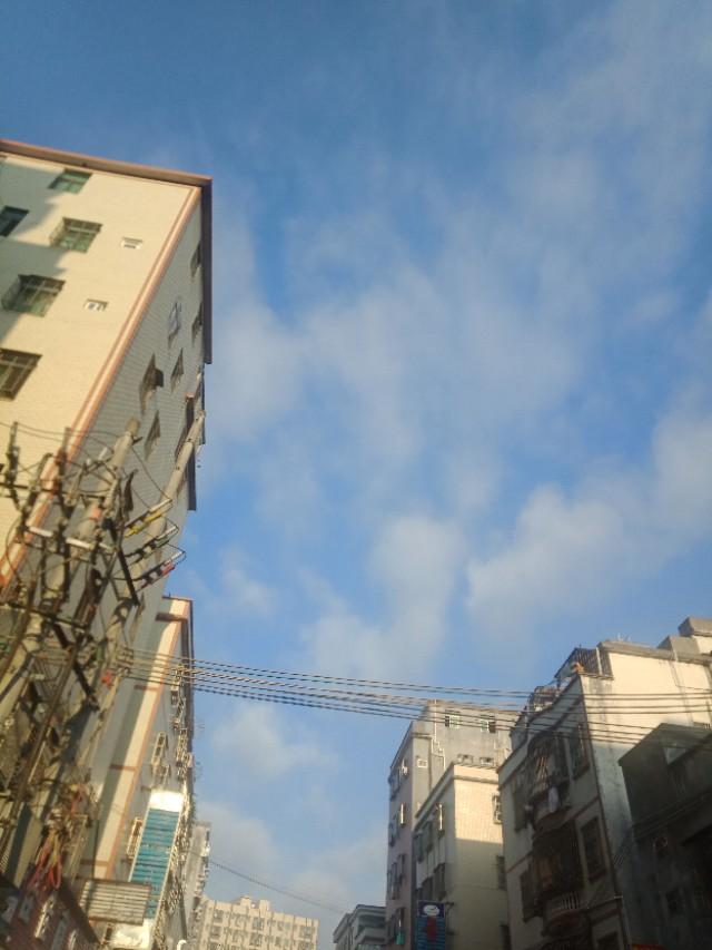 爱情很甜,婚姻很苦你有何体会？