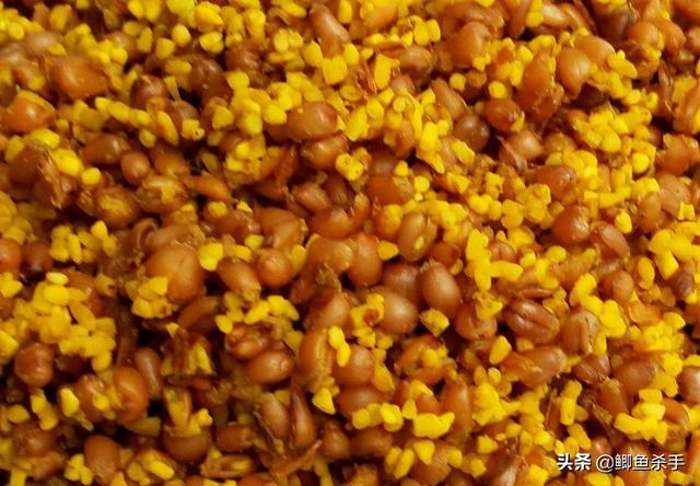 灰头鹀窝图片:钓鲫鱼、草鱼，用什么打窝最好？