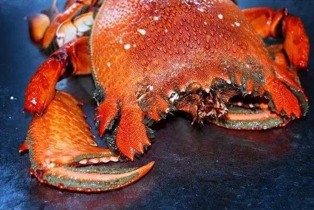 深海黑鳘鱼多少钱一斤:金钱鳘鱼胶好吗？市场上的金钱鳘鱼胶一斤多少钱呢？