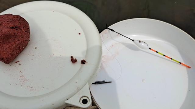 在线小游戏吞吃鱼:为什么很多鱼塘按天收费却钓不到鱼？
