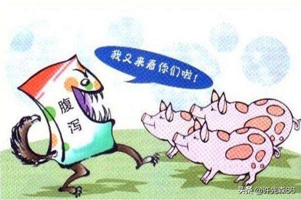 花花兽医宠物服务部:陈赫主演的《动物管理局》喜剧如何？他家也养了狗猫吗？
