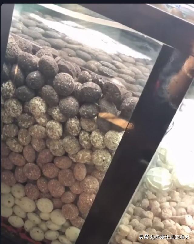 鱼缸水族箱养鱼知识:如何让鱼缸里的鱼不生病，怎么做？