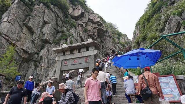 李娅 过山风:阴阳师中茨木，云外镜，山风，御怨般若养哪个好？