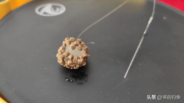 钓鮣鱼用什么鱼食最好:黑坑钓鲤鱼，用什么鱼食比较好？需要注意什么？