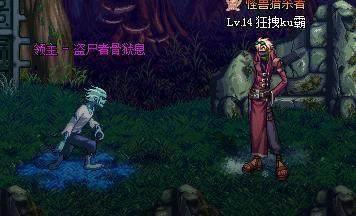 丧失图:植物大战僵尸1无尽的阵型如何布置还要有搭梯子的那种