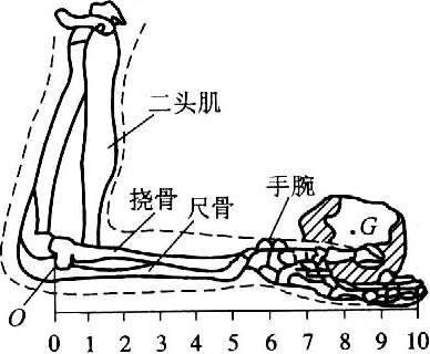 骨质疏松和缺钙的原因:经常吃钙片，为什么还会骨质疏松？