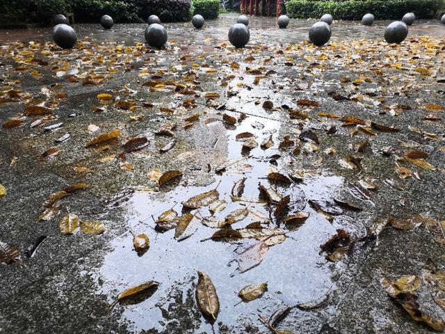 近日湖北抗疫医生携儿子跳楼身亡到底是因为什么原因？