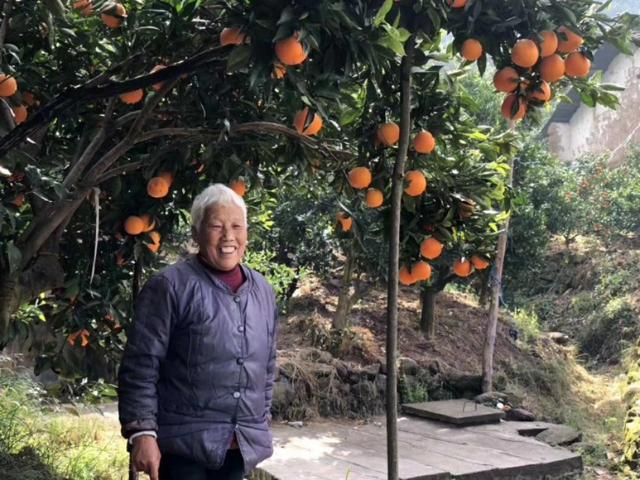 哥伦比亚盆地侏儒兔高清大图:宜昌旅游资源丰富，被称为什么？